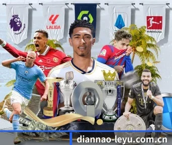 diannao-leyu.com.cn APP